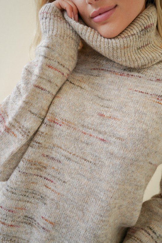 Textured Oatmeal Mix Turtleneck Sweater