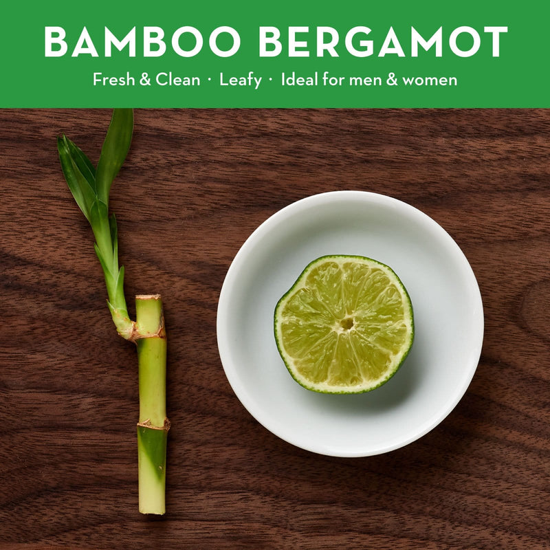 Reed Diffuser, Bamboo Bergamot