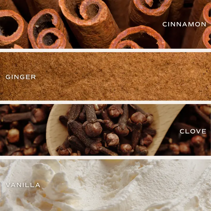 Gingerbread Spice Soy Candle